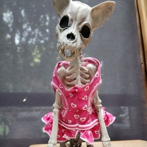 Pet clothing bundle, READ